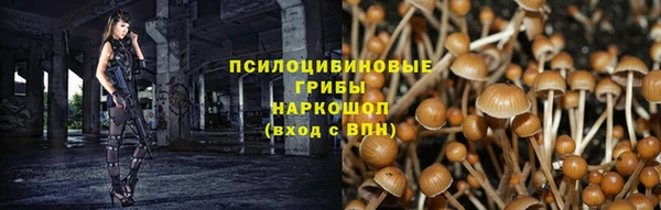 не бодяженный Володарск