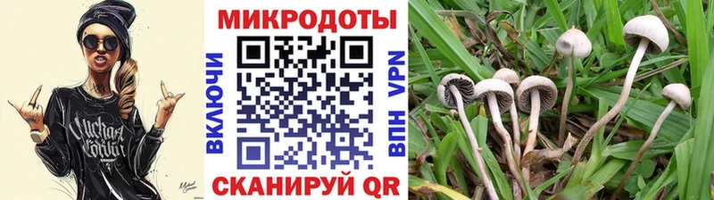 Купить  Красноармейск  Псилоцибиновые грибы мухоморы 